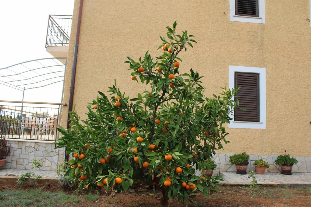 Lily'S Lovely Apartments Фажана Экстерьер фото